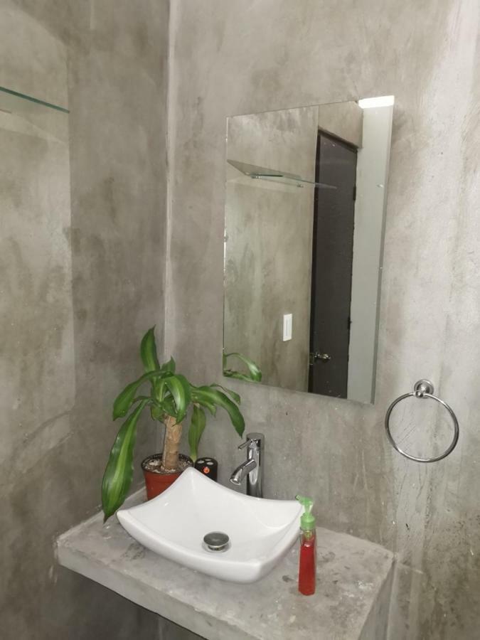 Hotel Hostal Savoy 墨西哥城 外观 照片