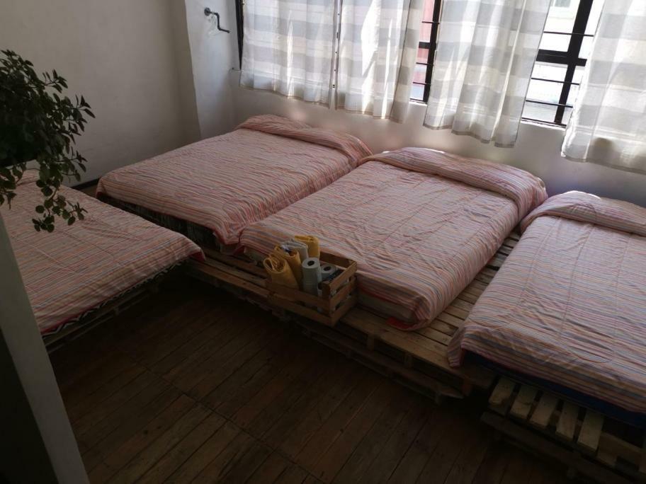 Hotel Hostal Savoy 墨西哥城 外观 照片